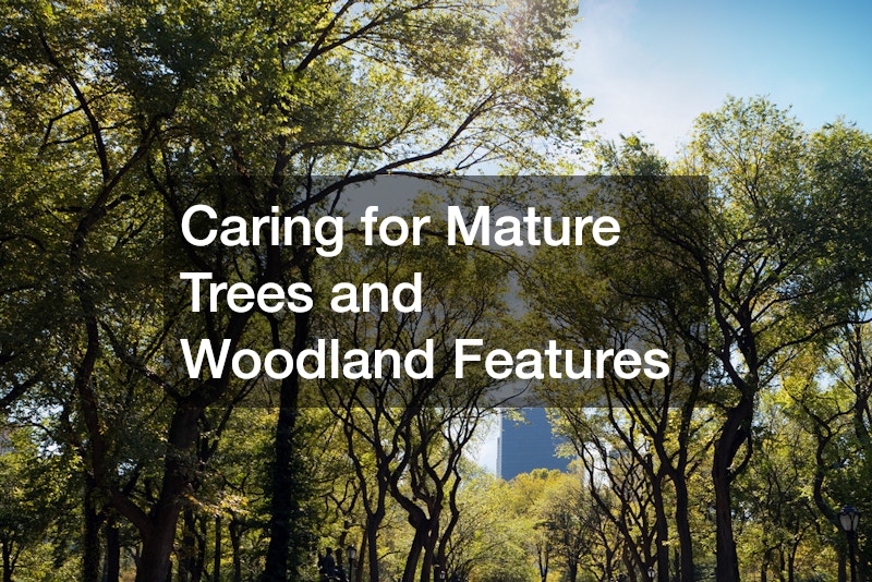 Caring for Mature Trees and Woodland Features