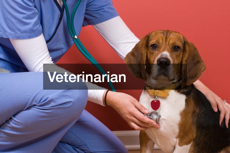 Veterinarian