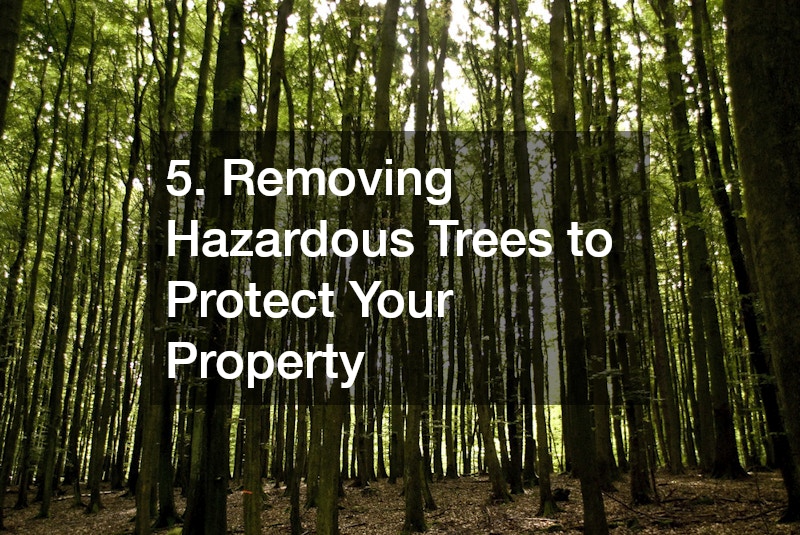 5. Removing Hazardous Trees to Protect Your Property