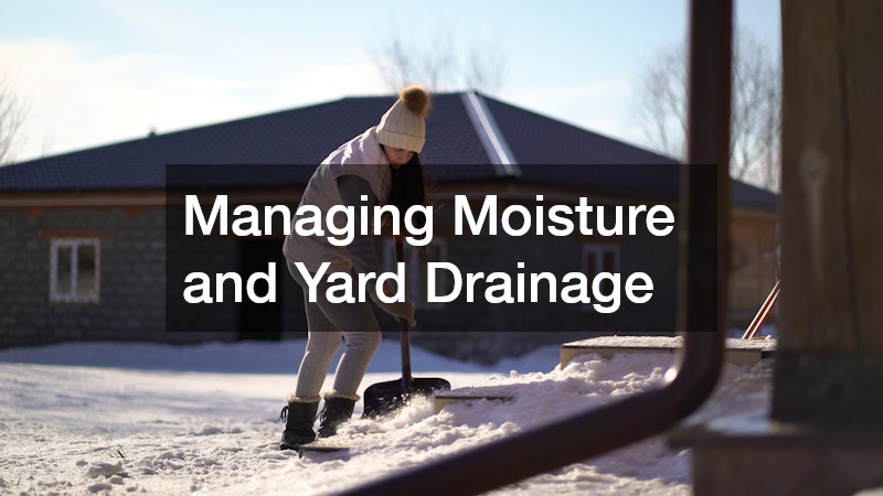 Managing Moisture and Yard Drainage