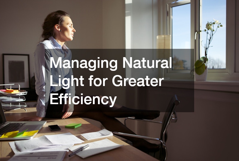 Managing Natural Light for Greater Efficiency