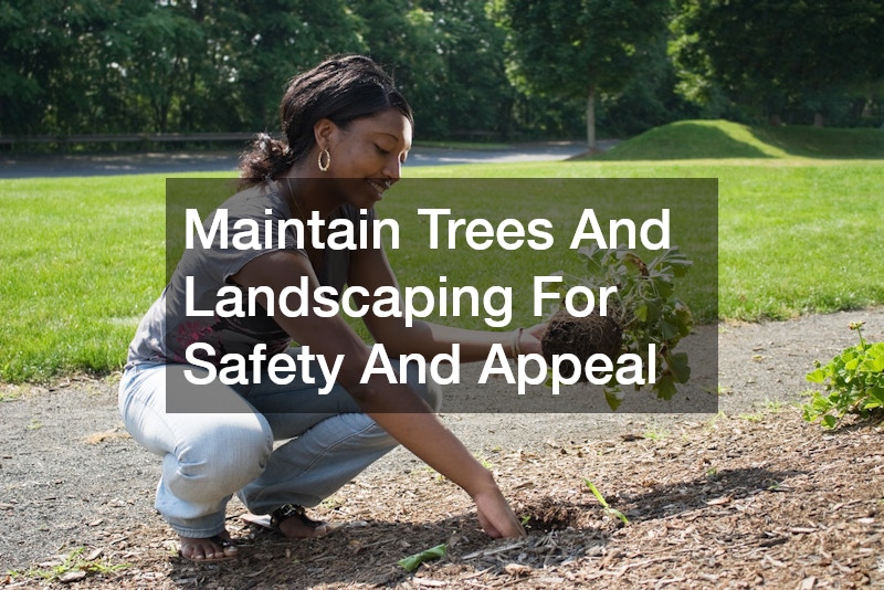 Maintain Trees And Landscaping For Safety And Appeal