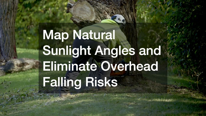 Map Natural Sunlight Angles and Eliminate Overhead Falling Risks