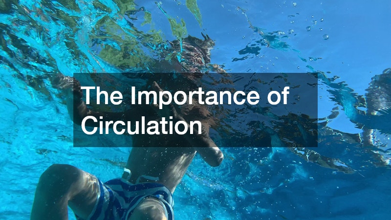 The Importance of Circulation