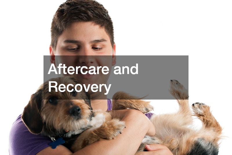 Aftercare and Recovery