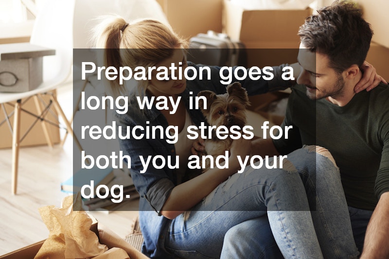 Preparation goes a long way in reducing stress for both you and your dog.