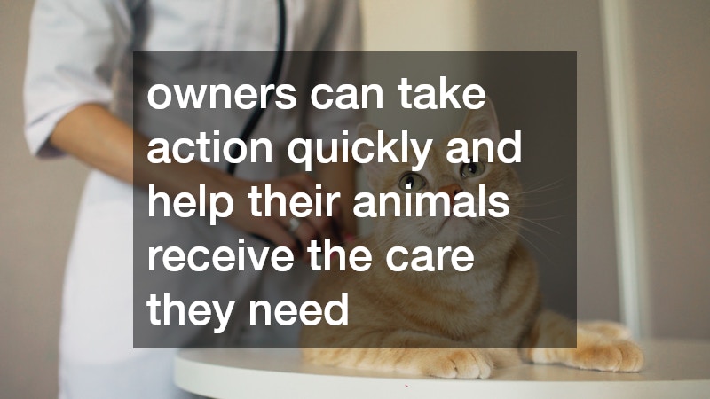 owners can take action quickly and help their animals receive the care they need