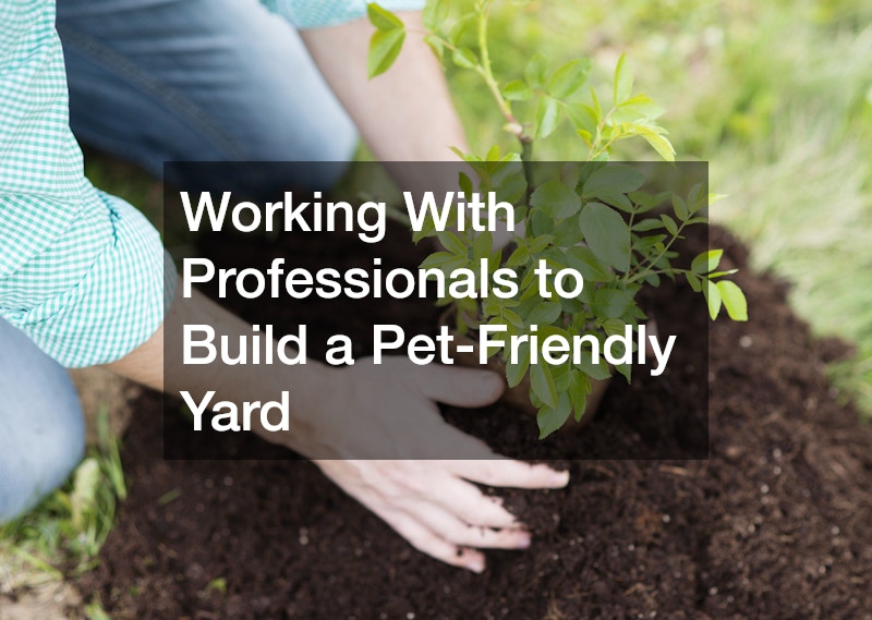 Working With Professionals to Build a Pet-Friendly Yard