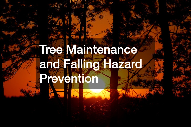 Tree Maintenance and Falling Hazard Prevention