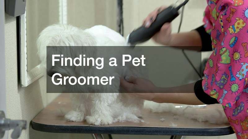 Finding a Pet Groomer