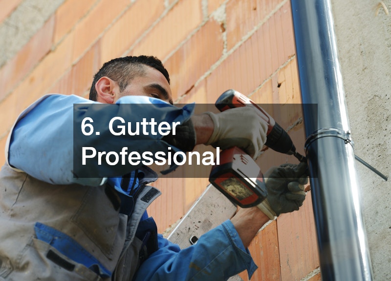 6. Gutter Professional