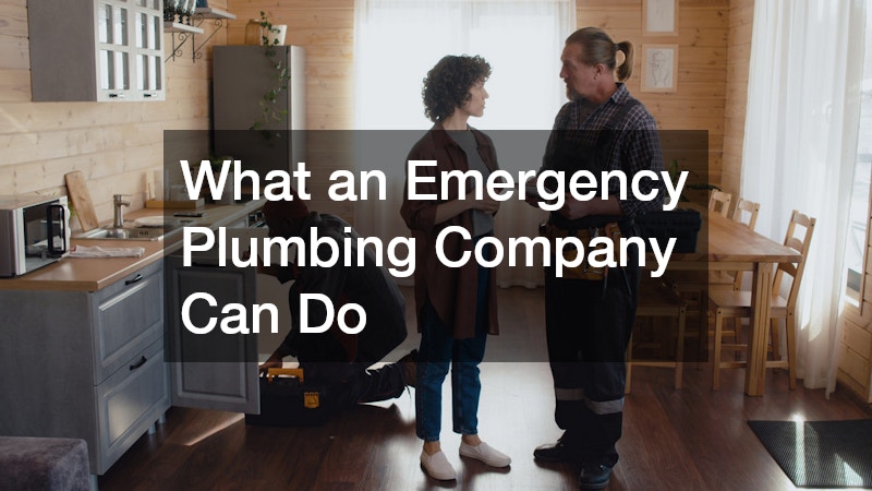 What an Emergency Plumbing Company Can Do