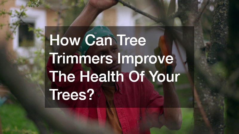 How Can Tree Trimmers Improve The Health Of Your Trees?