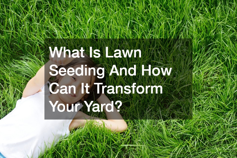 What Is Lawn Seeding And How Can It Transform Your Yard?