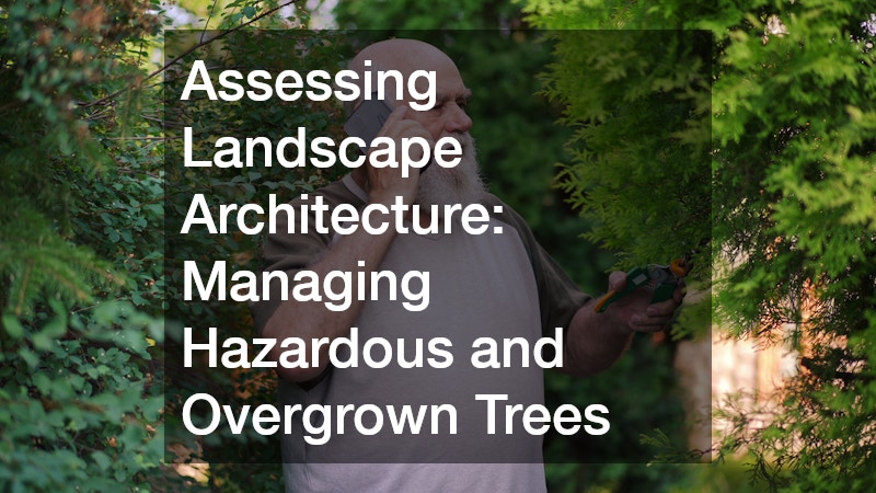 Assessing Landscape Architecture: Managing Hazardous and Overgrown Trees