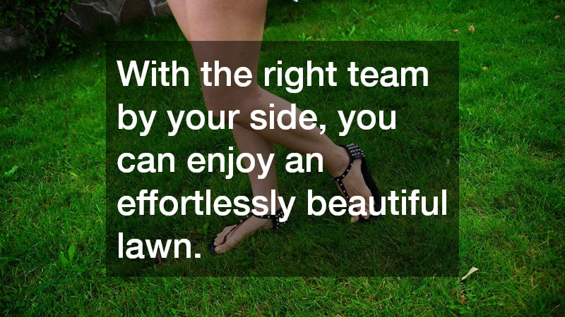 With the right team by your side, you can enjoy an effortlessly beautiful lawn.