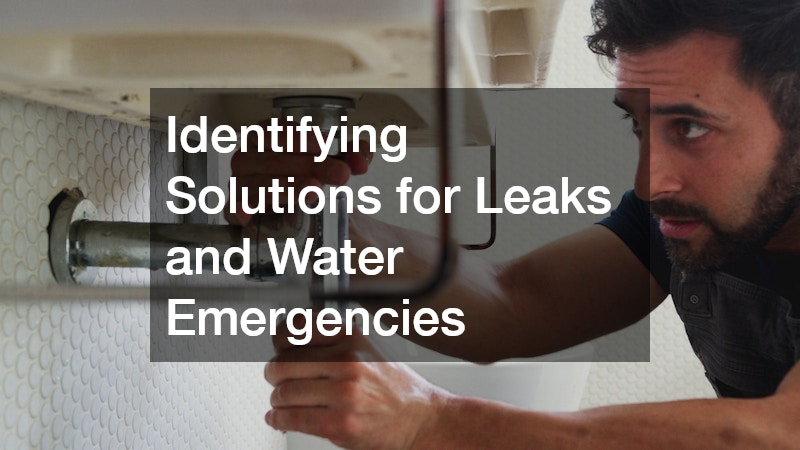 Identifying Solutions for Leaks and Water Emergencies