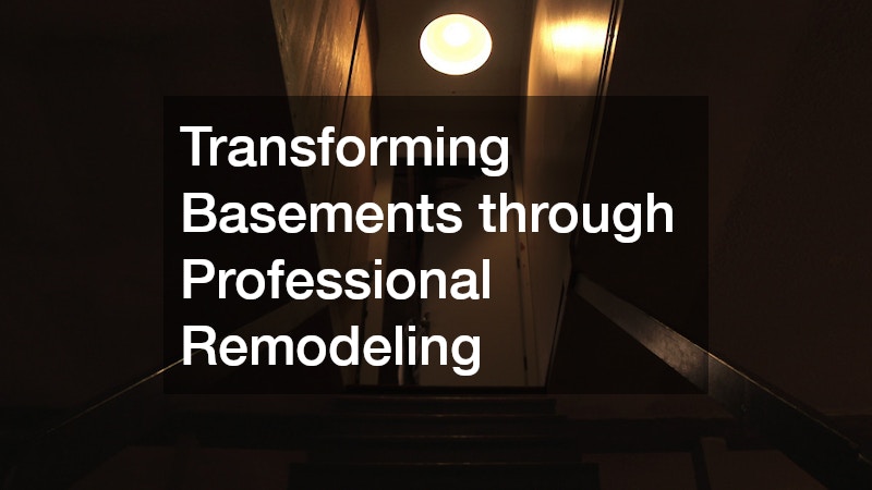 Transforming Basements through Professional Remodeling