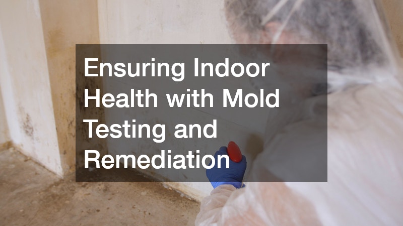 Ensuring Indoor Health with Mold Testing and Remediation