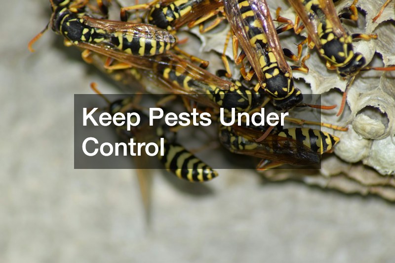 Keep Pests Under Control