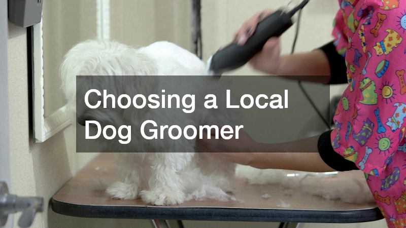 Choosing a Local Dog Groomer