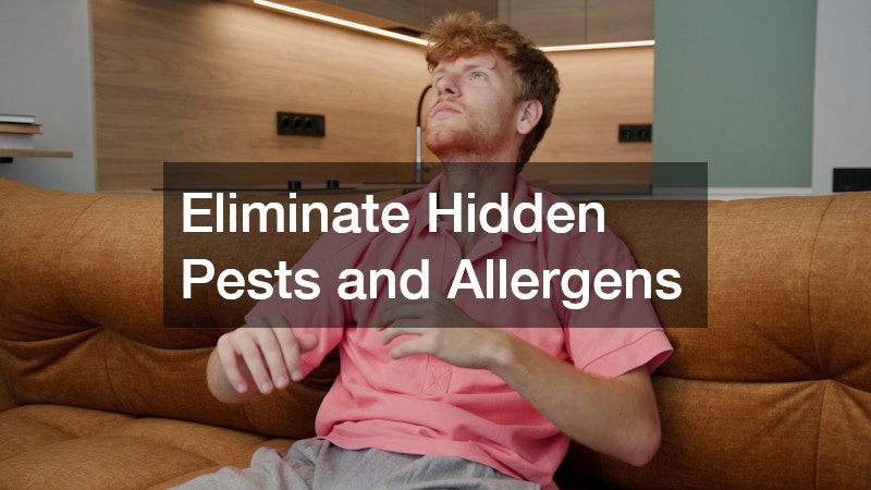 Eliminate Hidden Pests and Allergens