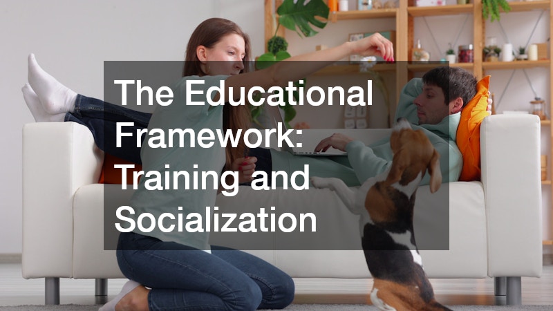 The Educational Framework: Training and Socialization