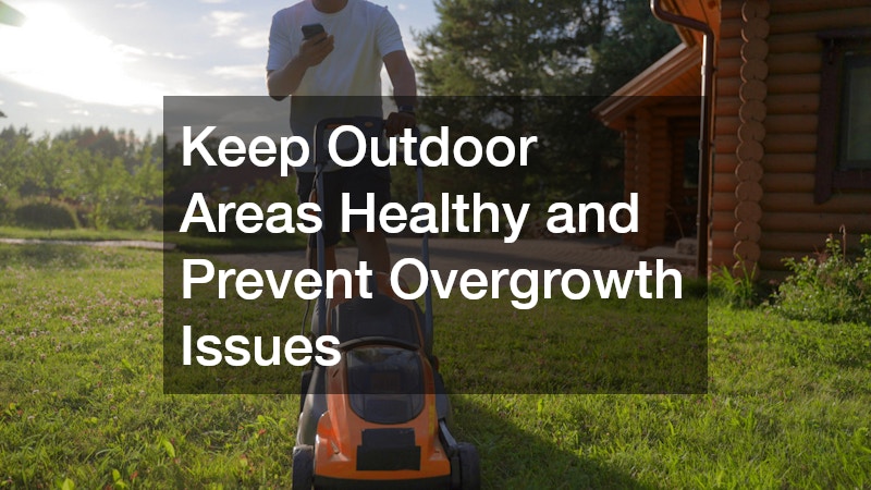 Keep Outdoor Areas Healthy and Prevent Overgrowth Issues