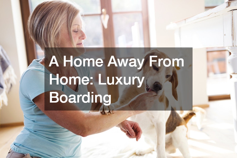 A Home Away From Home: Luxury Boarding