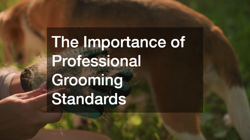 The Importance of Professional Grooming Standards