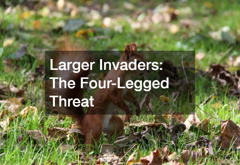 Larger Invaders: The Four-Legged Threat