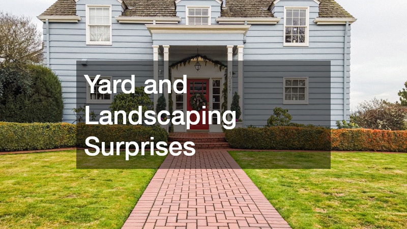 Yard and Landscaping Surprises