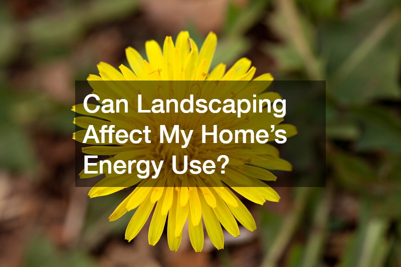 Can Landscaping Affect My Home’s Energy Use?