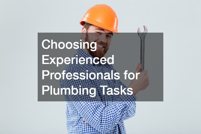 Choosing Experienced Professionals for Plumbing Tasks