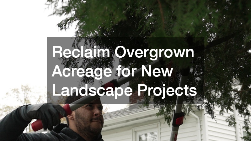 Reclaim Overgrown Acreage for New Landscape Projects