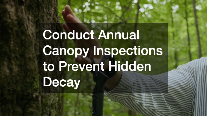 Conduct Annual Canopy Inspections to Prevent Hidden Decay