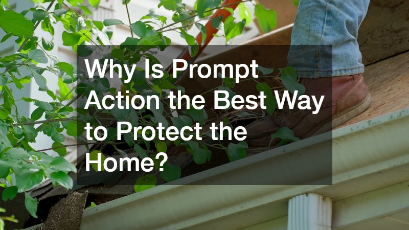 Why Is Prompt Action the Best Way to Protect the Home?
