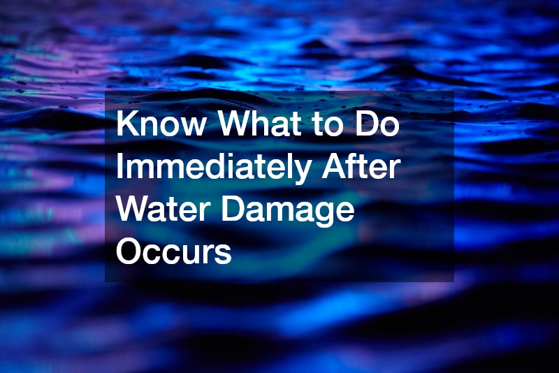 Know What to Do Immediately After Water Damage Occurs