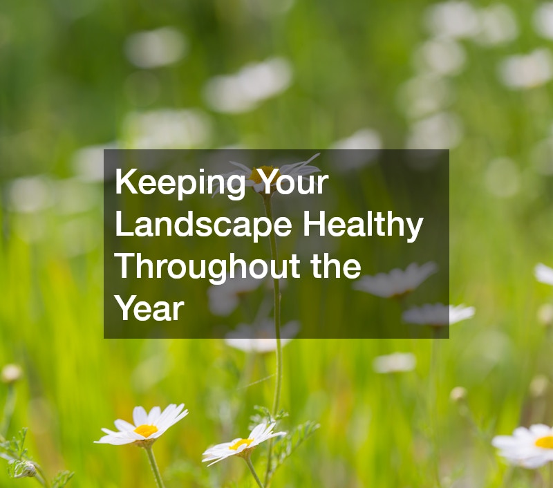 Keeping Your Landscape Healthy Throughout the Year