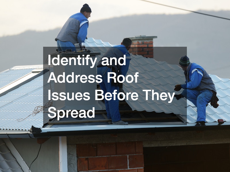 Identify and Address Roof Issues Before They Spread