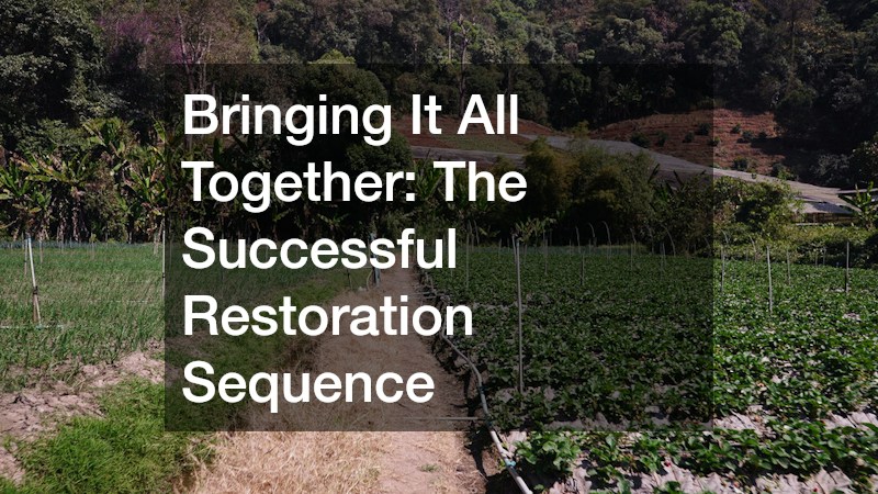 Bringing It All Together: The Successful Restoration Sequence