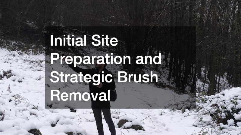 Initial Site Preparation and Strategic Brush Removal
