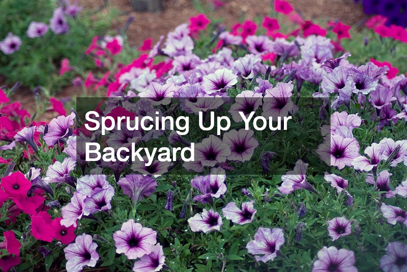 Sprucing Up Your Backyard