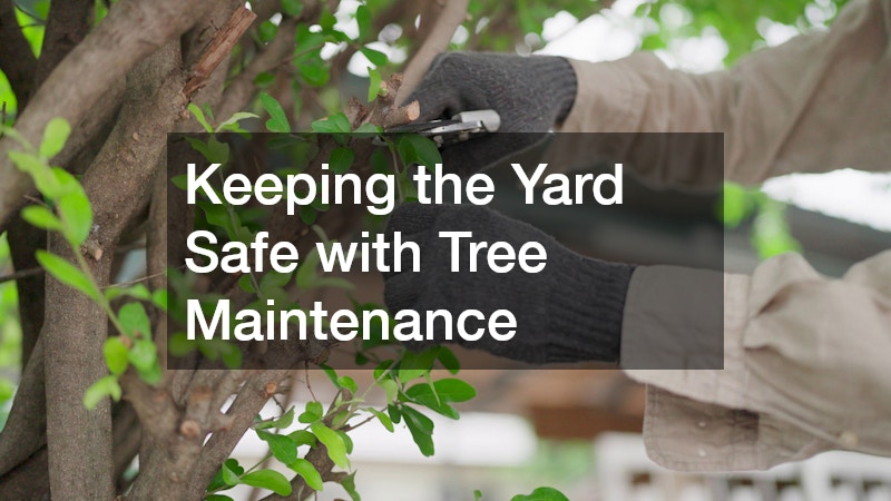 Keeping the Yard Safe with Tree Maintenance