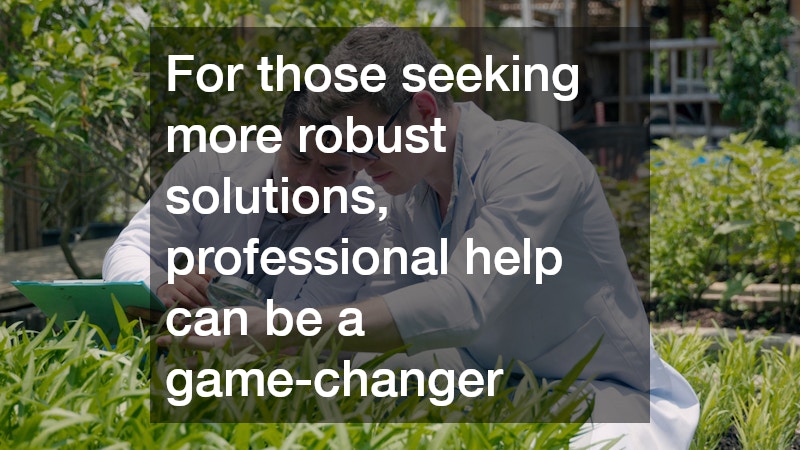 For those seeking more robust solutions, professional help can be a game-changer