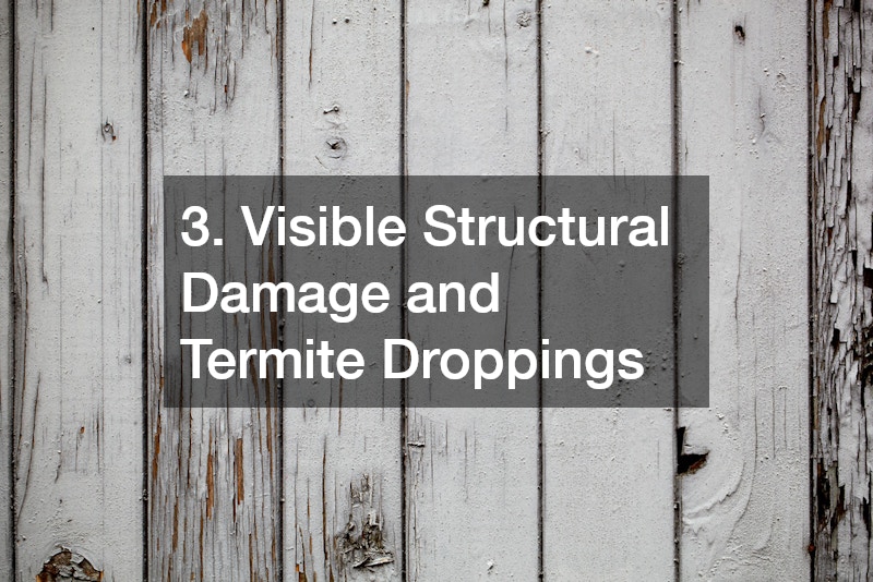 3. Visible Structural Damage and Termite Droppings
