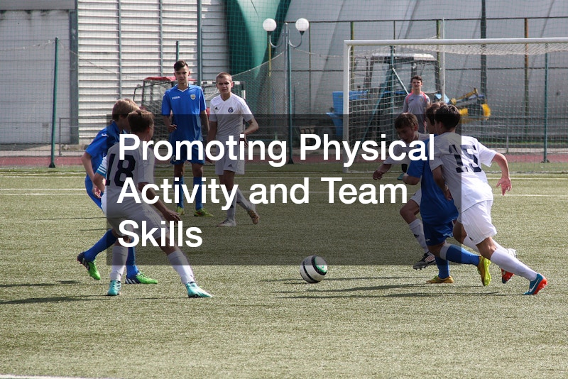 Promoting Physical Activity and Team Skills