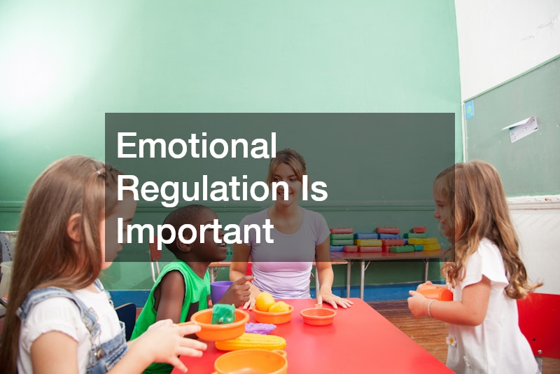 Emotional Regulation Is Important