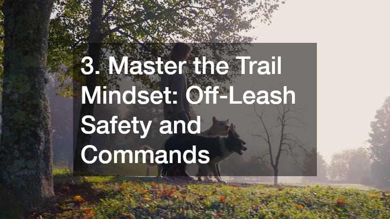 3. Master the Trail Mindset: Off-Leash Safety and Commands