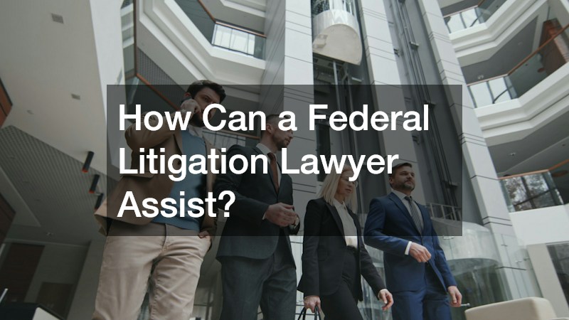 How Can a Federal Litigation Lawyer Assist?